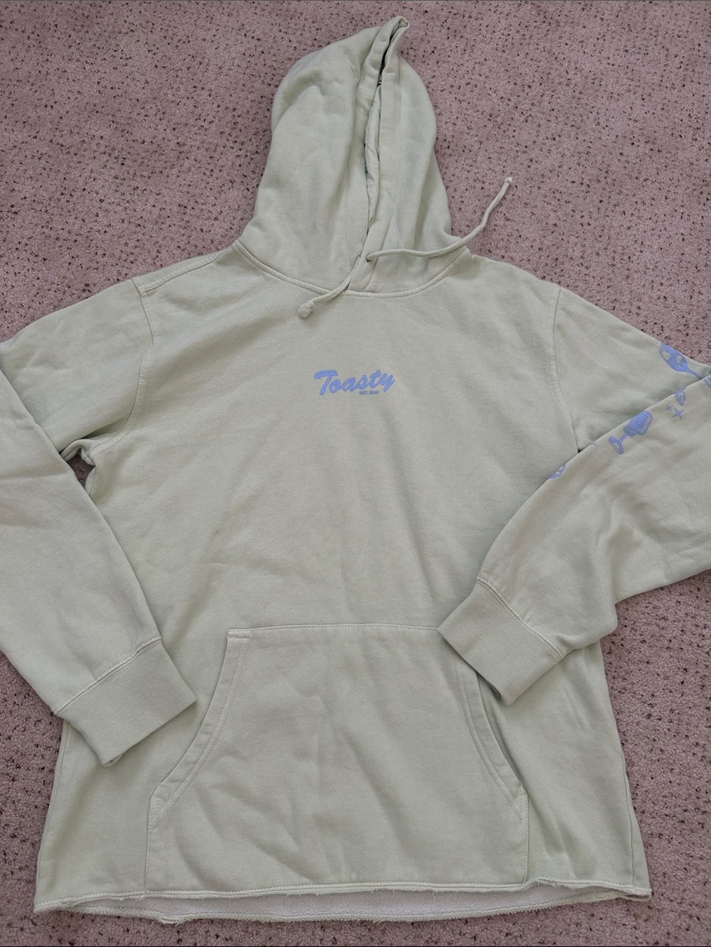 Toasty Light Sage Hooded Sweatshirt with Blue Script